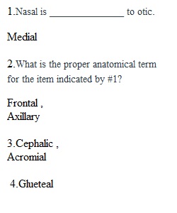 Lab Quiz 1